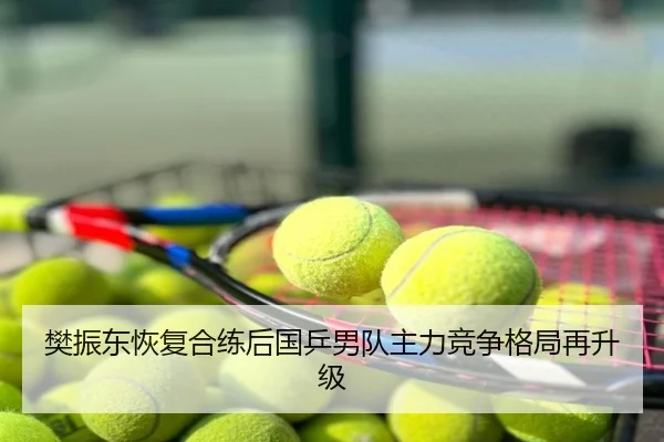 樊振东恢复合练后国乒男队主力竞争格局再升级
